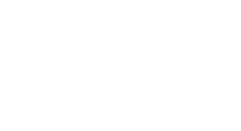 ALMA ANIMAL